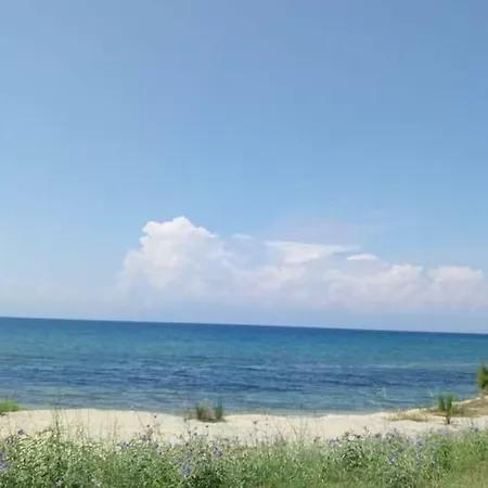 Shark Appartments Apartman *